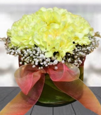 10 Yellow Carnation Arrangement with Round Glass Vase